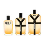دیسکوارد 2 وایلد | فروشگاه اینترنتی عطرونک - مرجع خرید عطر، ادکلن، لوازم آرایشی و اکسسوری