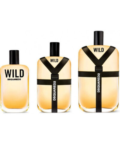 دیسکوارد 2 وایلد | فروشگاه اینترنتی عطرونک - مرجع خرید عطر، ادکلن، لوازم آرایشی و اکسسوری